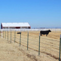 Rail Steel Farm Fence Metal T Posts for Deer Fence